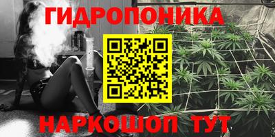 стафф Ликино-Дулёво