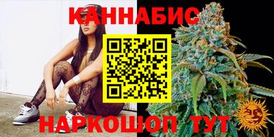 стаф Лесосибирск