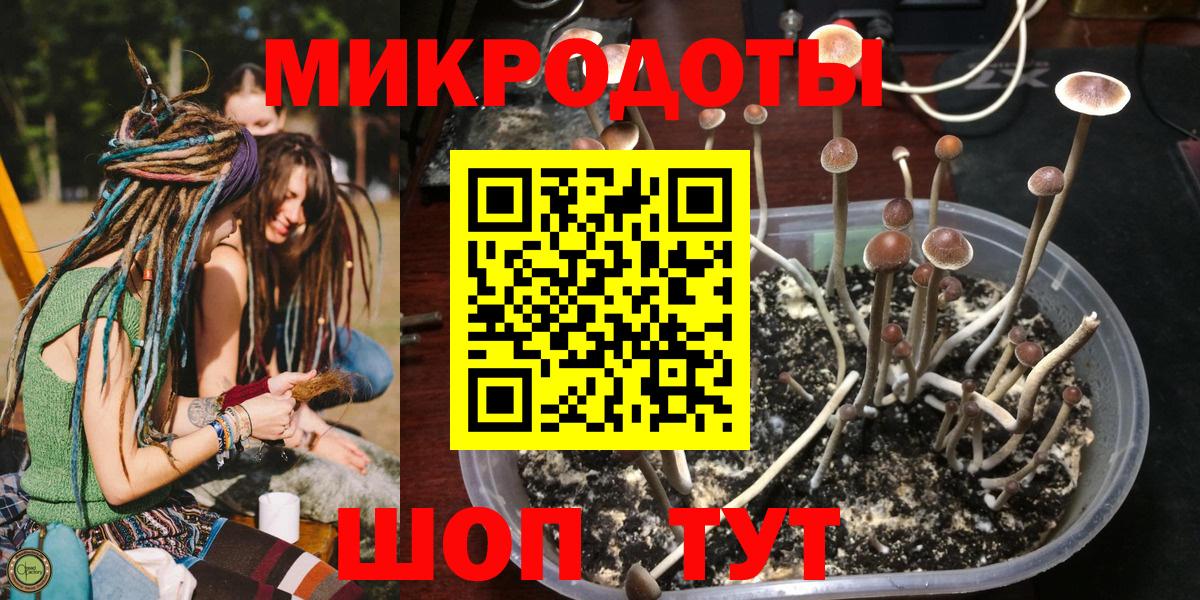 Киров  Галлюциногенные грибы ЛСД  Псилоцибиновые грибы мицелий  Вход с VPN 