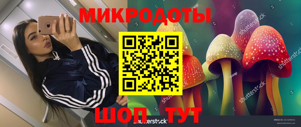 Галлюциногенные грибы GOLDEN TEACHER Киров